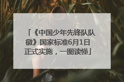 《中国少年先锋队队徽》国家标准6月1日正式实施，一图读懂