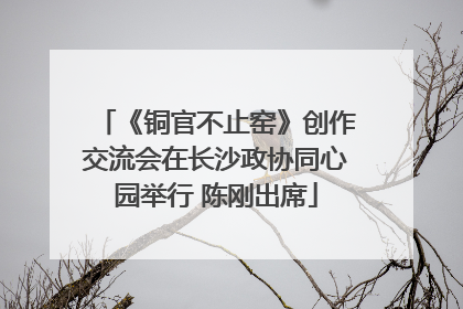 《铜官不止窑》创作交流会在长沙政协同心园举行 陈刚出席
