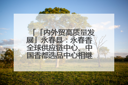 「内外贸高质量发展」永春县：永春香全球供应链中心、中国香都选品中心相继运营——一根香“点燃”百亿产业