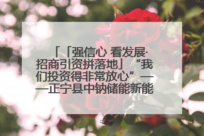 「强信心 看发展·招商引资拼落地」“我们投资得非常放心”——正宁县中钠储能新能源项目建设见闻