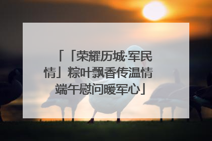 「荣耀历城·军民情」粽叶飘香传温情 端午慰问暖军心