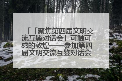 「聚焦第四届文明交流互鉴对话会」可触可感的敦煌——参加第四届文明交流互鉴对话会的外宾参观上元市集