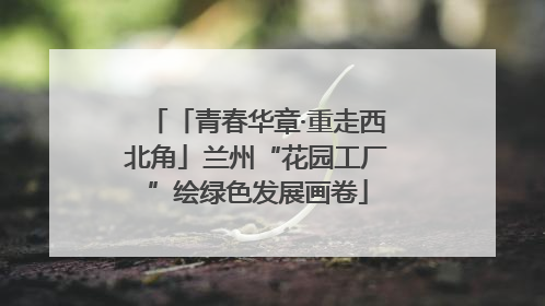 「青春华章·重走西北角」兰州“花园工厂”绘绿色发展画卷