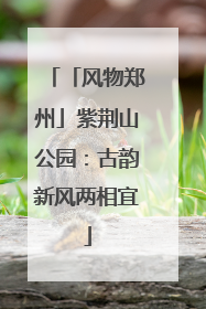 「风物郑州」紫荆山公园：古韵新风两相宜