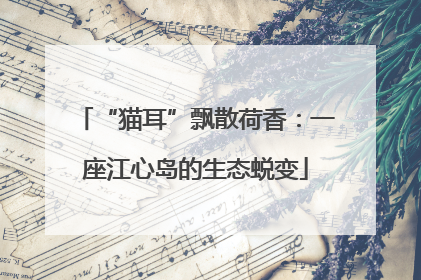 “猫耳”飘散荷香：一座江心岛的生态蜕变