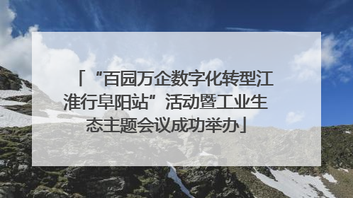 “百园万企数字化转型江淮行阜阳站”活动暨工业生态主题会议成功举办