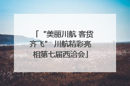 “美丽川航 客货齐飞” 川航精彩亮相第七届西洽会