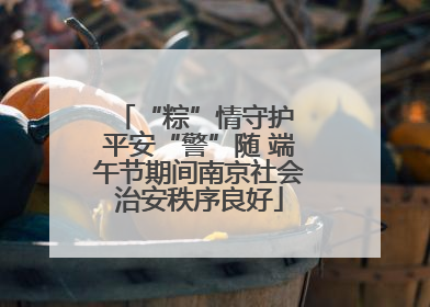“粽”情守护 平安“警”随 端午节期间南京社会治安秩序良好