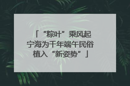 “粽叶”乘风起 宁海为千年端午民俗植入“新姿势”