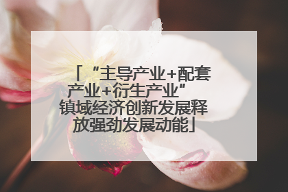 “主导产业+配套产业+衍生产业” 镇域经济创新发展释放强劲发展动能