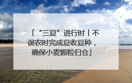 “三夏”进行时丨不误农时完成夏收夏种，确保小麦颗粒归仓