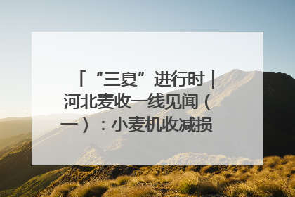 “三夏”进行时｜河北麦收一线见闻（一）：小麦机收减损“竞技” 农机高手麦田“过招”
