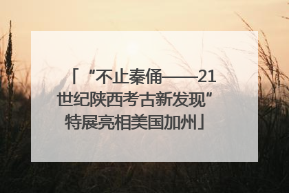 “不止秦俑——21世纪陕西考古新发现”特展亮相美国加州