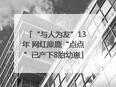 “与人为友”13年 网红麋鹿“点点”已产下8胎幼崽