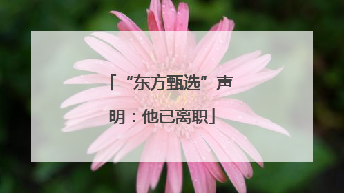 “东方甄选”声明：他已离职