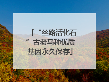 “丝路活化石”古老马种优质基因永久保存