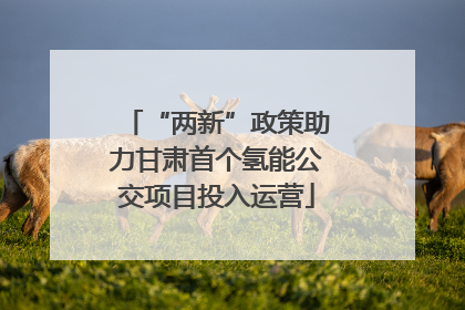 “两新”政策助力甘肃首个氢能公交项目投入运营