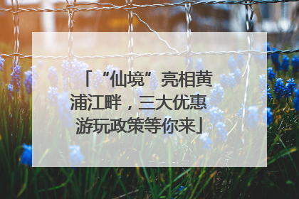 “仙境”亮相黄浦江畔，三大优惠游玩政策等你来