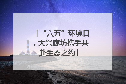 “六五”环境日，大兴廊坊携手共赴生态之约