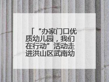 “办家门口优质幼儿园，我们在行动”活动走进洪山区武南幼儿园童趣园