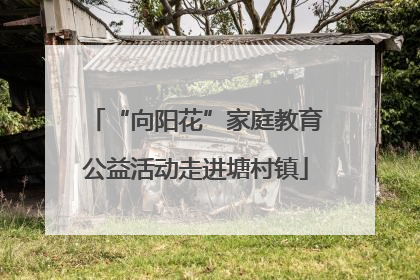“向阳花”家庭教育公益活动走进塘村镇