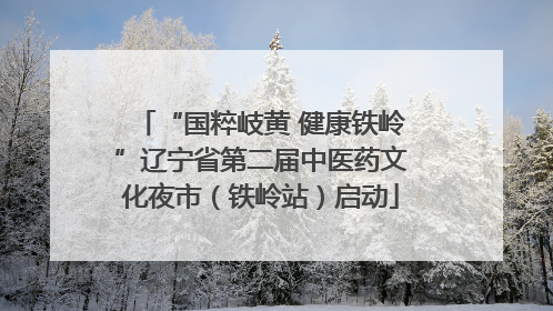 “国粹岐黄 健康铁岭”辽宁省第二届中医药文化夜市（铁岭站）启动
