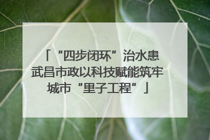 “四步闭环”治水患 武昌市政以科技赋能筑牢城市“里子工程”