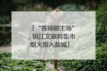“客场即主场”，镇江文旅将集市烟火带入盐城