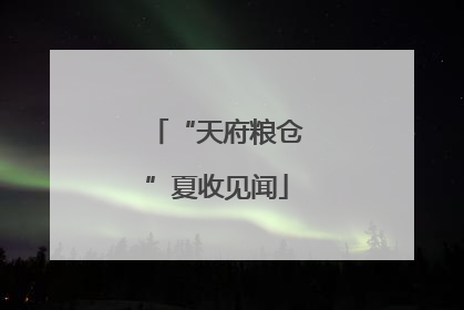 “天府粮仓”夏收见闻
