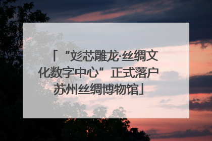 “彣芯雕龙·丝绸文化数字中心”正式落户苏州丝绸博物馆