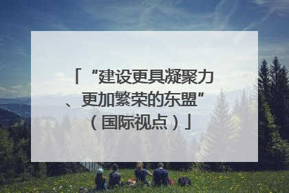 “建设更具凝聚力、更加繁荣的东盟”（国际视点）
