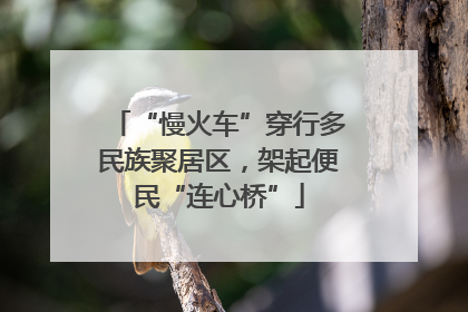 “慢火车”穿行多民族聚居区，架起便民“连心桥”
