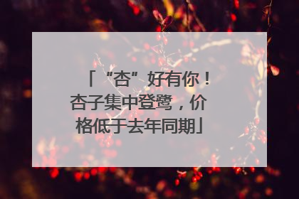 “杏”好有你！杏子集中登鹭，价格低于去年同期
