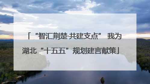 “智汇荆楚·共建支点” 我为湖北“十五五”规划建言献策