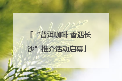 “普洱咖啡 香遇长沙”推介活动启幕