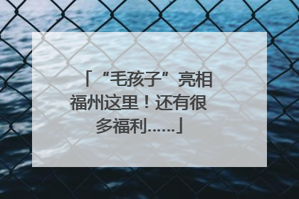 “毛孩子”亮相福州这里！还有很多福利……