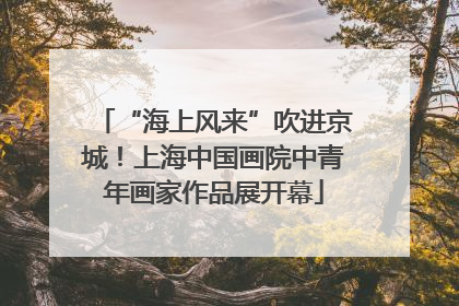 “海上风来”吹进京城！上海中国画院中青年画家作品展开幕