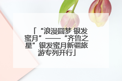 “浪漫圆梦 银发蜜月”——“齐鲁之星”银发蜜月新疆旅游专列开行