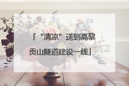 “清凉”送到高黎贡山隧道建设一线