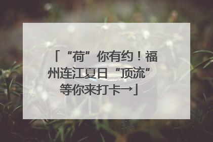 “荷”你有约！福州连江夏日“顶流”等你来打卡→