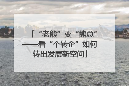 “老熊”变“熊总”——看“个转企”如何转出发展新空间