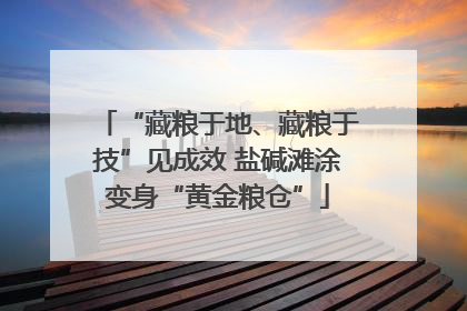 “藏粮于地、藏粮于技”见成效 盐碱滩涂变身“黄金粮仓”