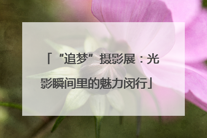 “追梦”摄影展：光影瞬间里的魅力闵行