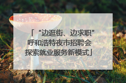 “边逛街、边求职” 呼和浩特夜市招聘会探索就业服务新模式