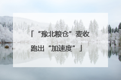 “豫北粮仓”麦收跑出“加速度”