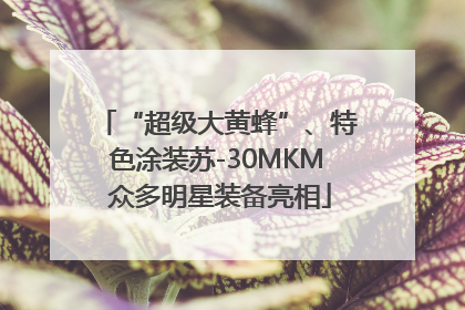 “超级大黄蜂”、特色涂装苏-30MKM 众多明星装备亮相