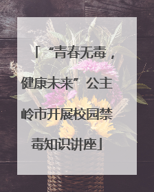 “青春无毒，健康未来”公主岭市开展校园禁毒知识讲座