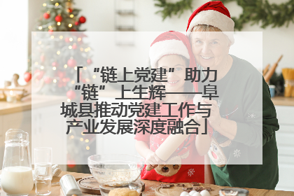 “链上党建”助力“链”上生辉——阜城县推动党建工作与产业发展深度融合