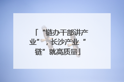 “链办干部讲产业”，长沙产业“链”就高质量