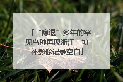 “隐退”多年的罕见鸟种再现浙江，填补影像记录空白